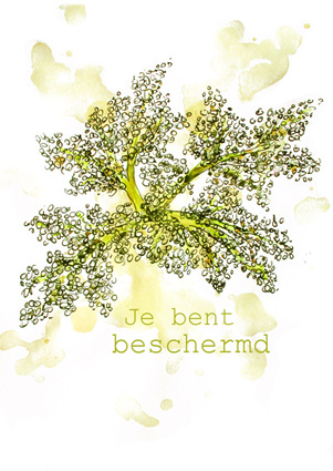 Kleine dingen beschermd
