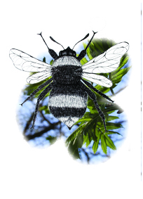 Kleine dingen Hommel