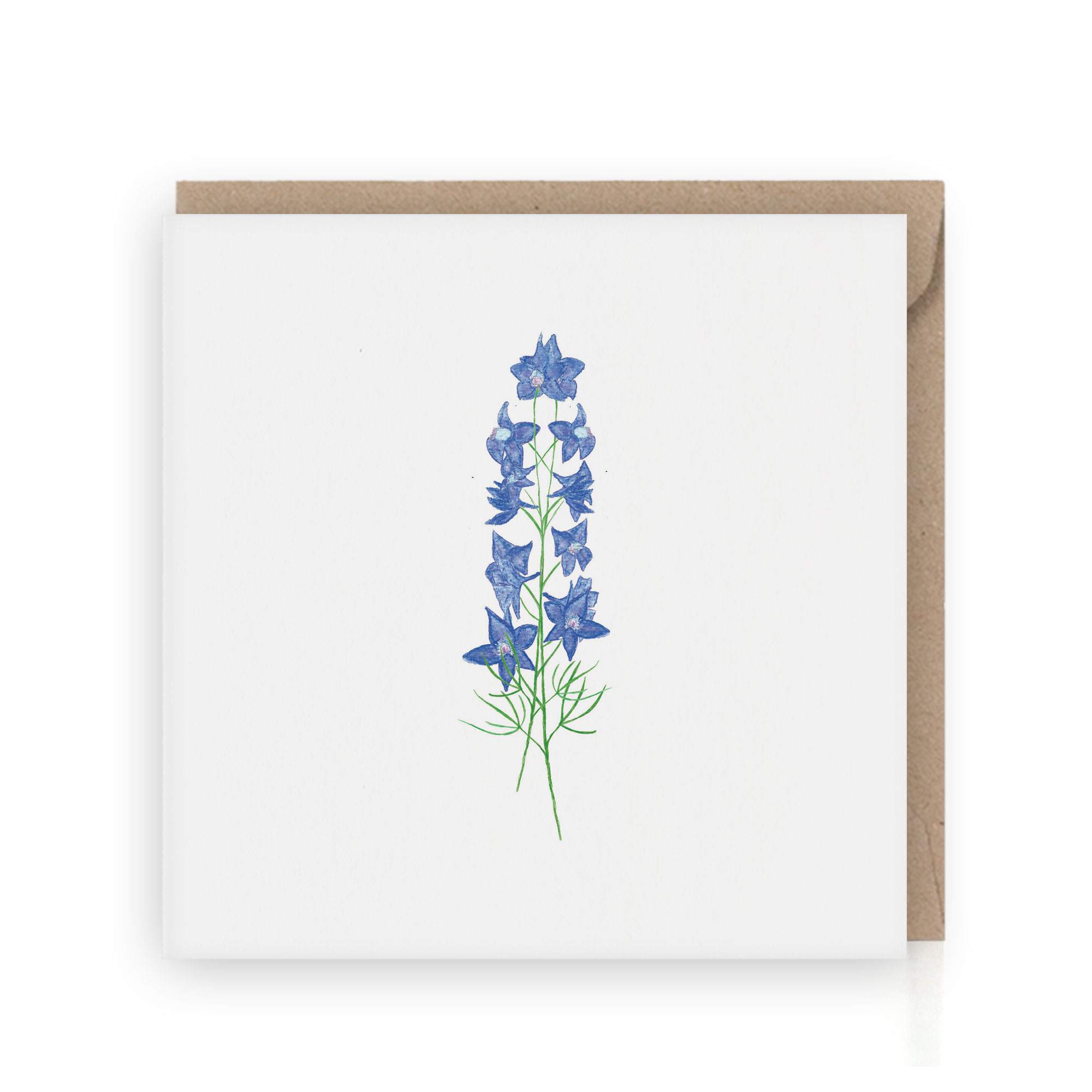  Delphinium