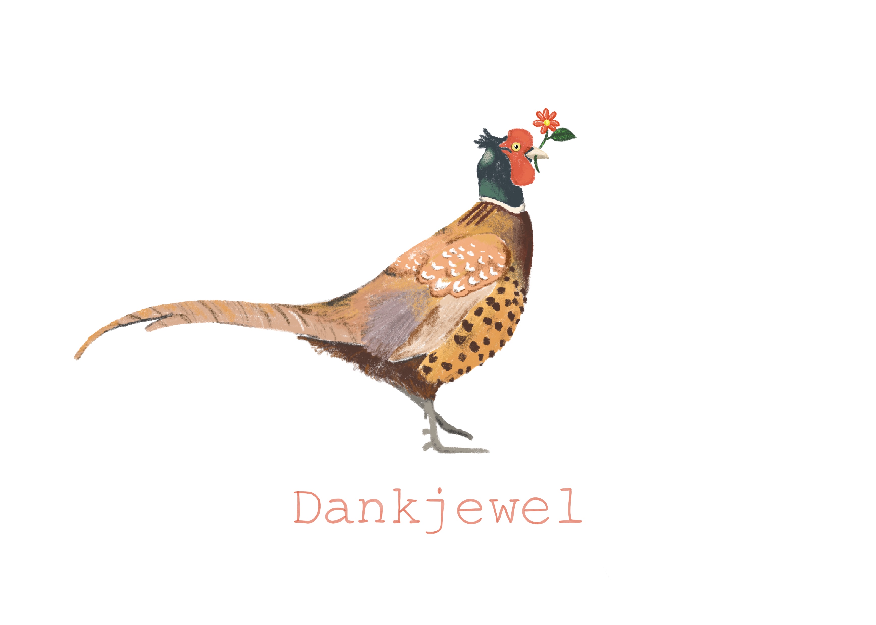  Bedank fazant