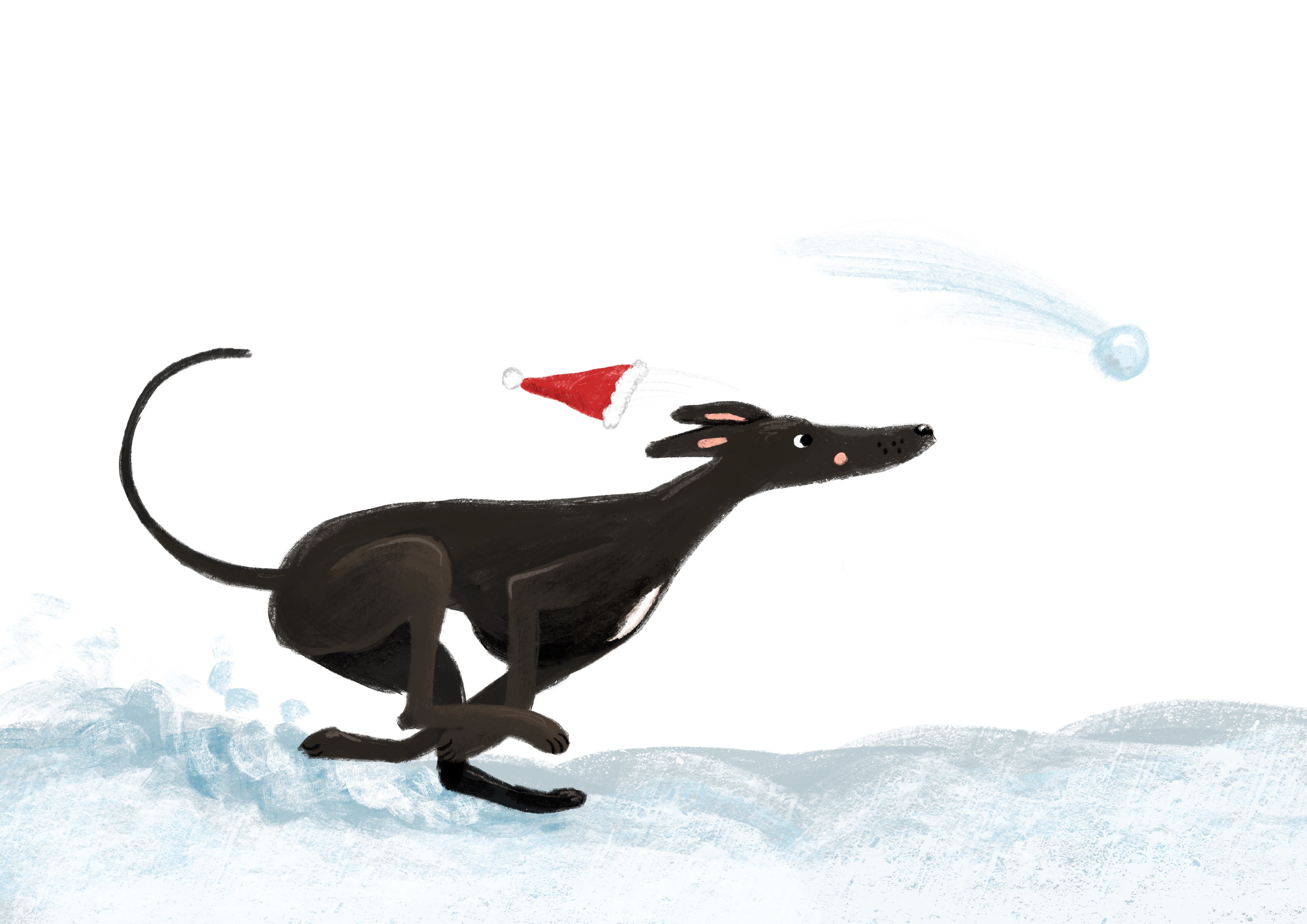  Hond in de sneeuw