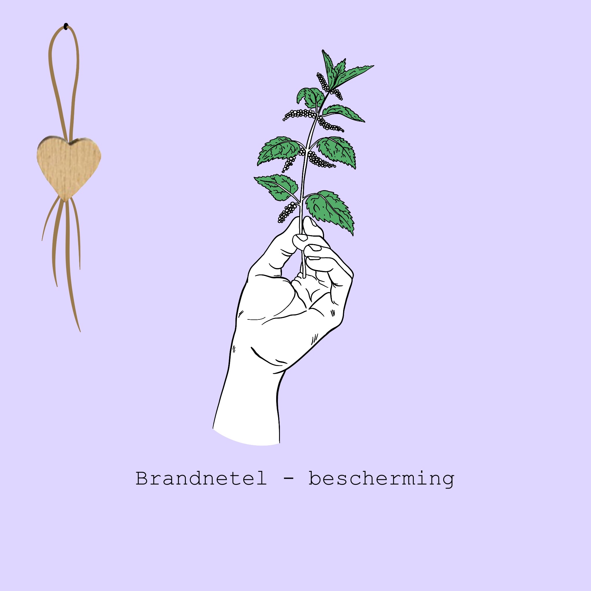 Brandnetel - bescherming