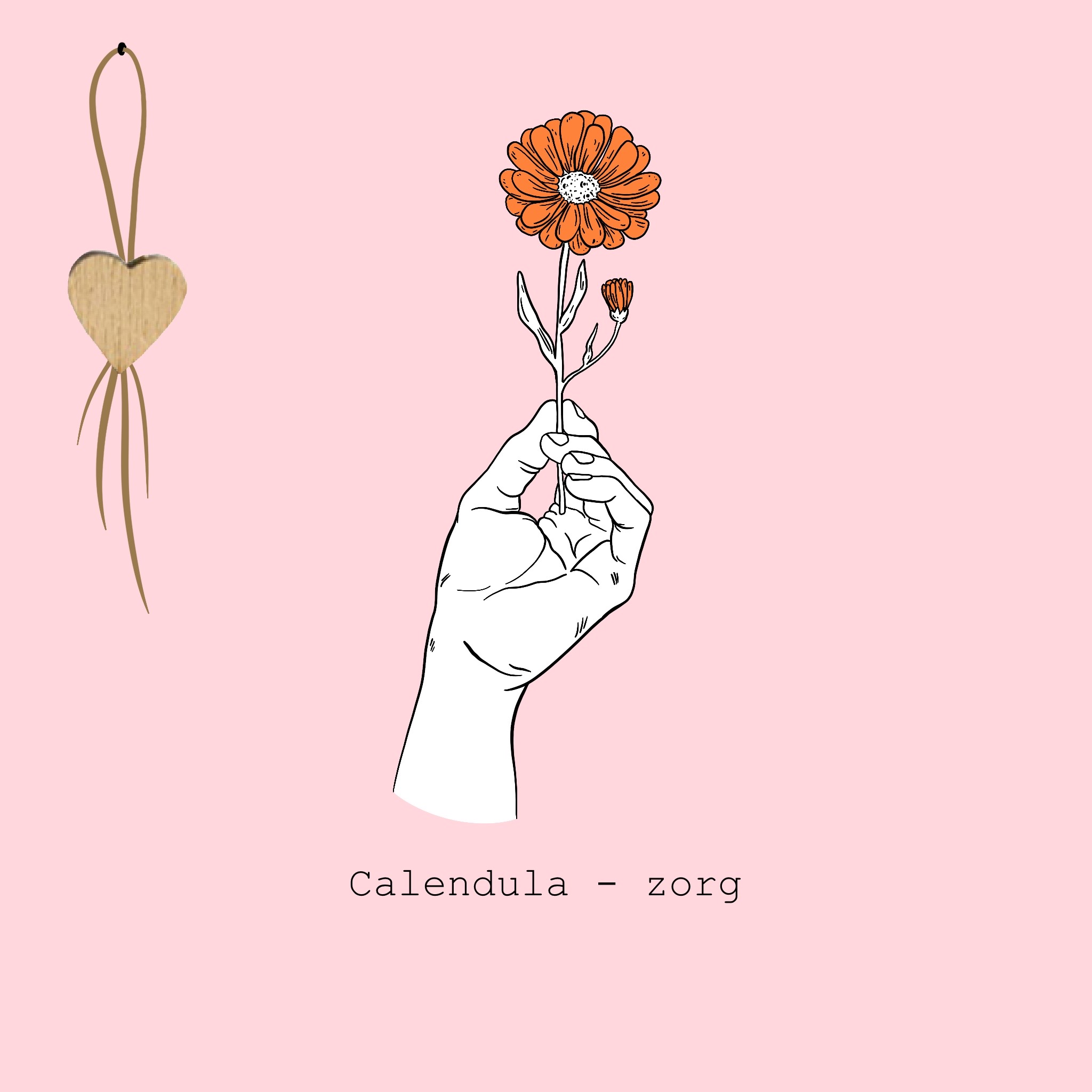  Calendula - zorg