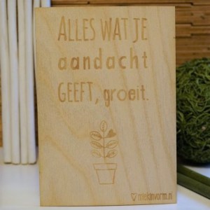 Beavers Woodland Alles wat je aandacht geeft groeit