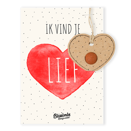 Blossombs Valentijnskaart met Zaadbom - Ik Vind Je Lief - Wenskaart