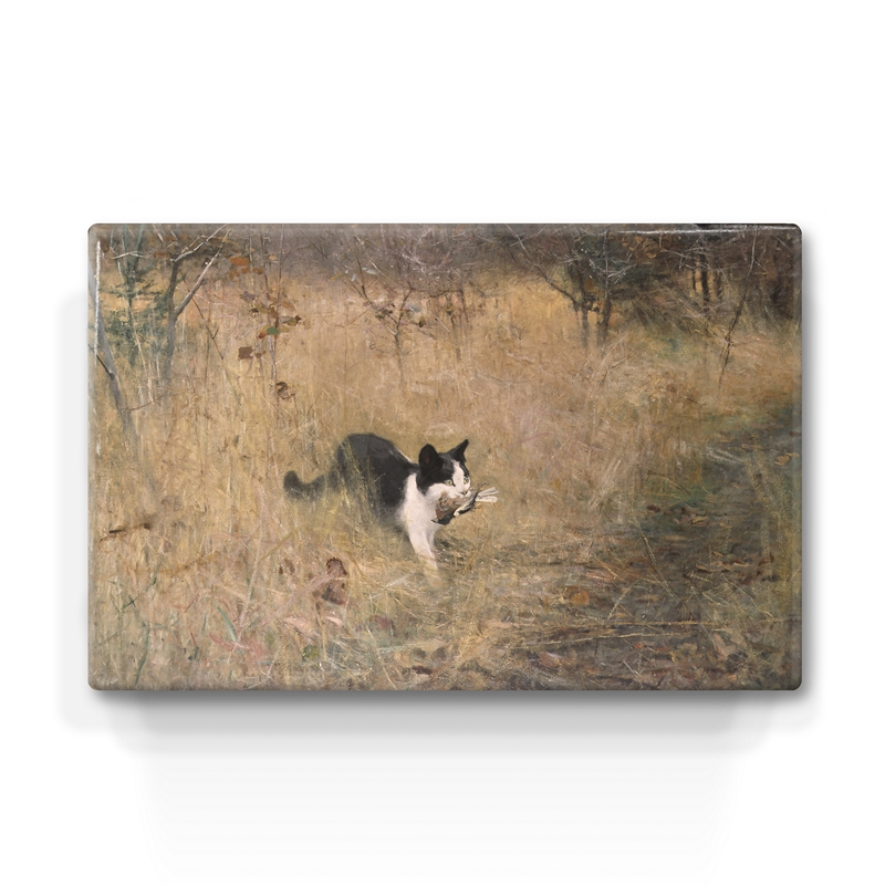  Kat op vogeljacht 30*19,5cm